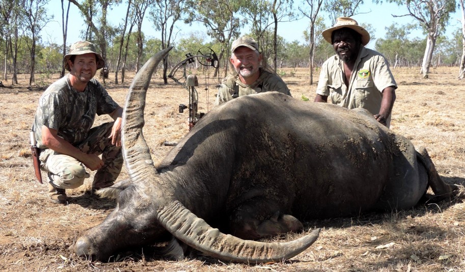 Australia CAZA DE BANTENG Y BUFALO DE AGUA