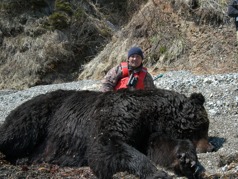 Какие медведи крупнее. Огромный медведь охота. Огромный медведь на Сахалине.