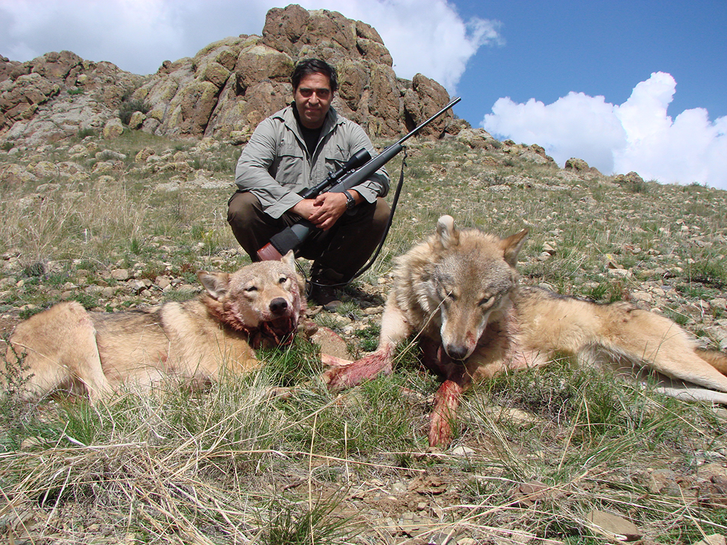 MONGOLIA BATIDAS DE LOBOS