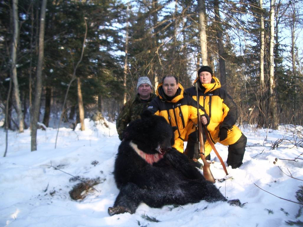 Rusia SIBERIA OSO NEGRO EN LA OSERA