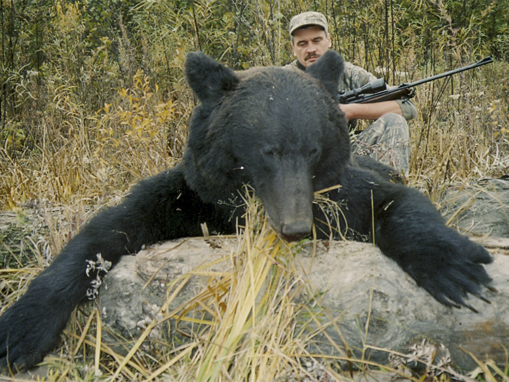 Rusia SIBERIA BLACK GRIZZLY